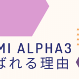 【TUMI ALPHA 3】ネットワークエンジニアならコレ！デキるエンジニアがTUMI ALPHA 3を選ぶ３つの理由